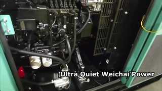 type silencieux vert weichai