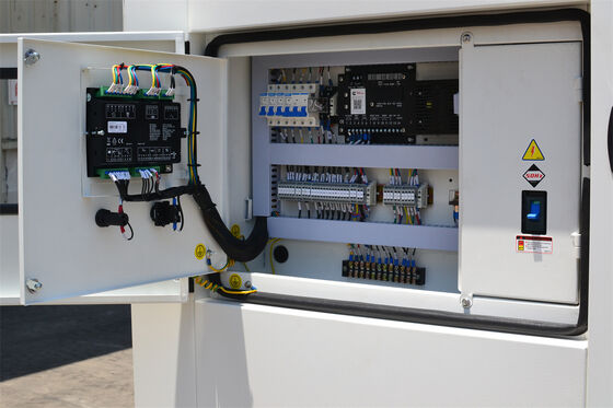 Baudouin 480kw 528kw Générateur diesel professionnel Générateur silencieux Générateur électrique diesel Générateur électrique Groupe électrogène