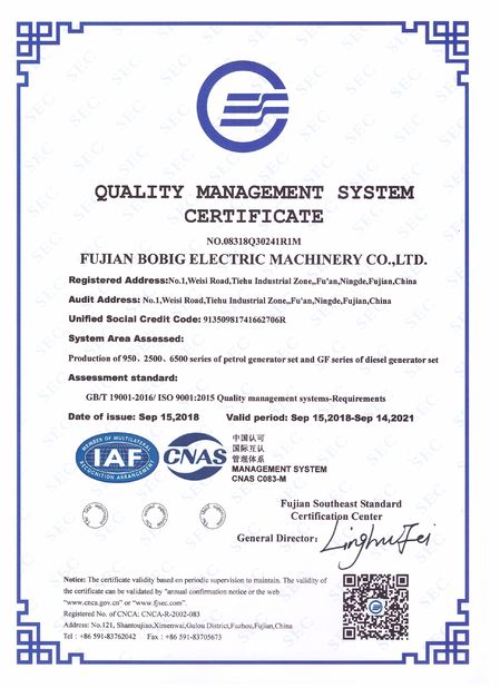 Chine FUJIAN BOBIG ELECTRIC MACHINERY CO.,LTD certifications